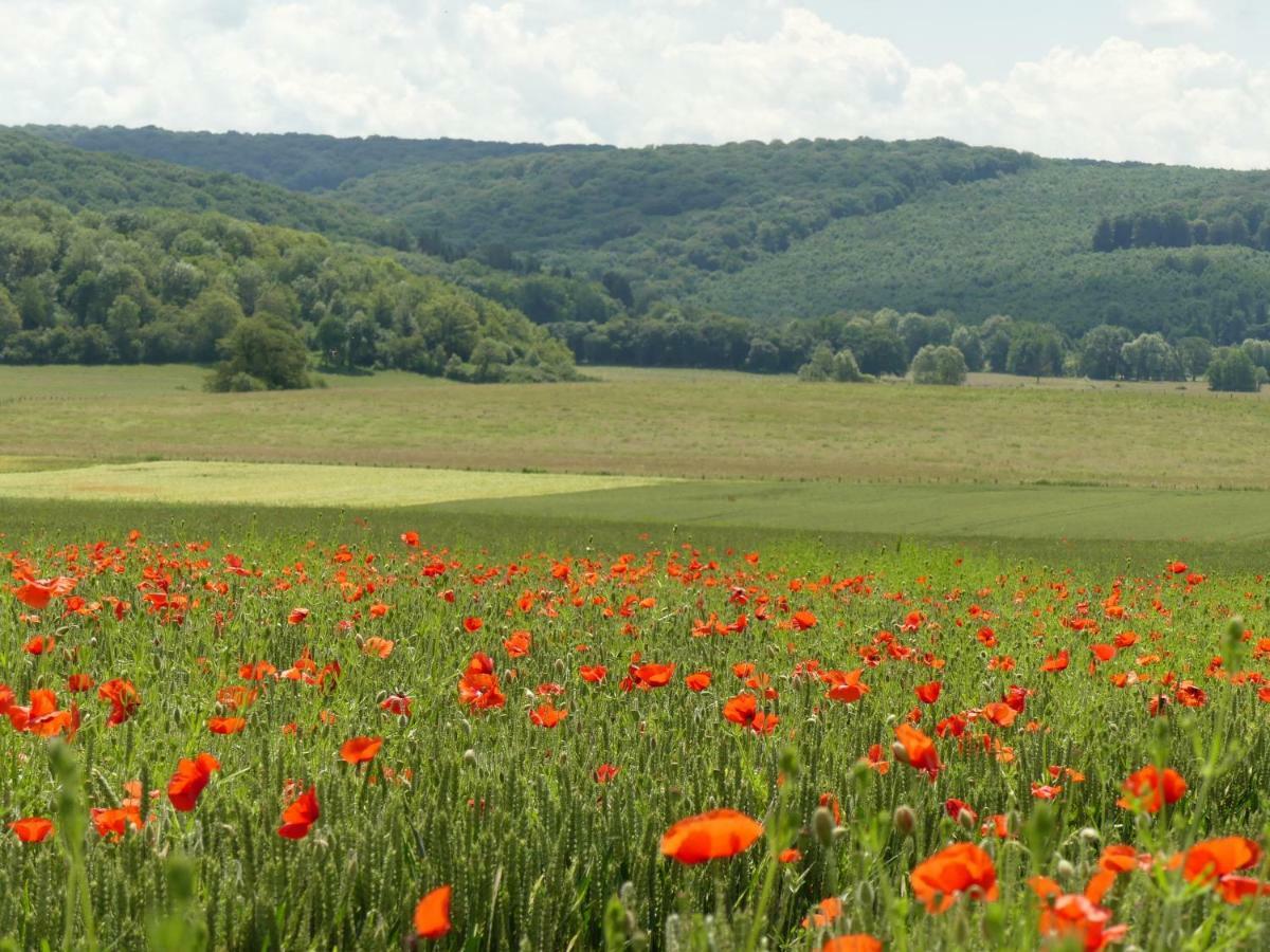 Vitrey-sur-Mance Domaine De La Mance - Maisonnette Avec Cheminee מראה חיצוני תמונה